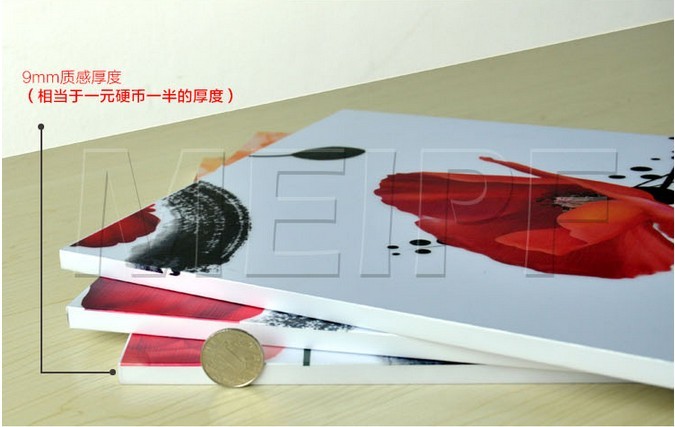 4494_5.jpg